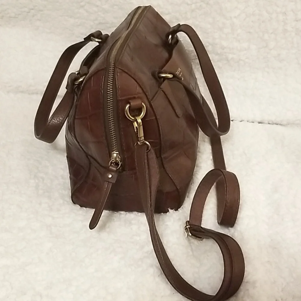 Fossil reddish brown
